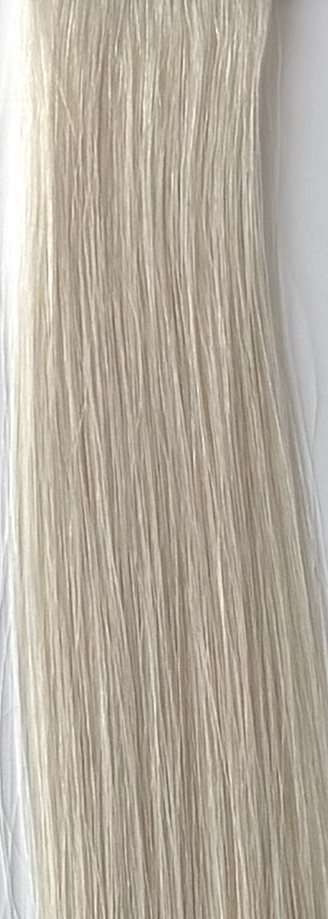 Color 1001A hair swatch
