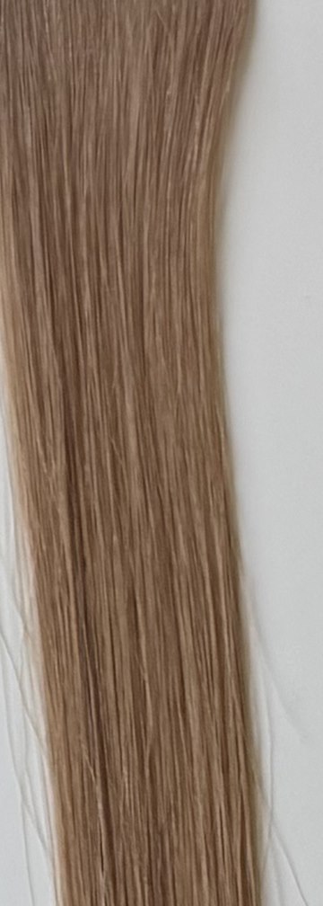 Color 17 hair swatch