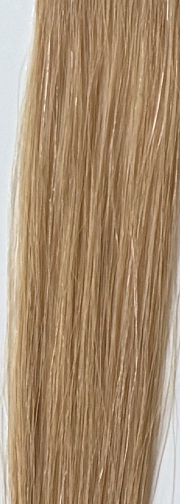 Color 20 hair swatch