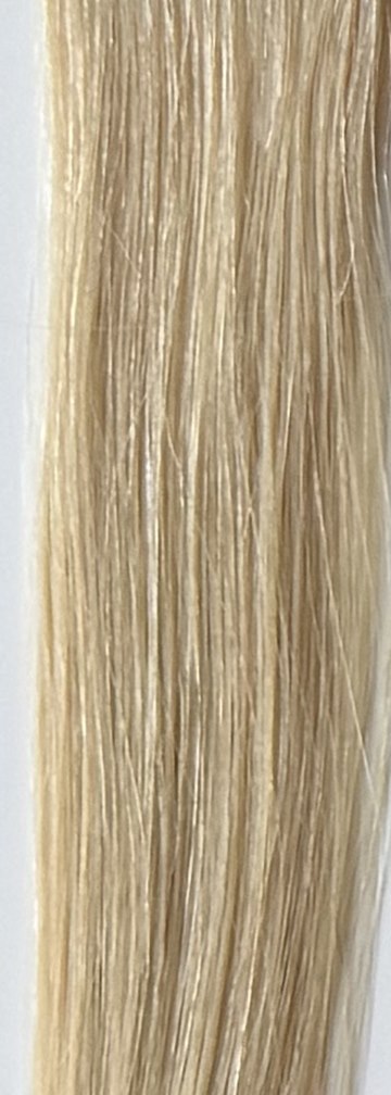 Color 22 hair swatch