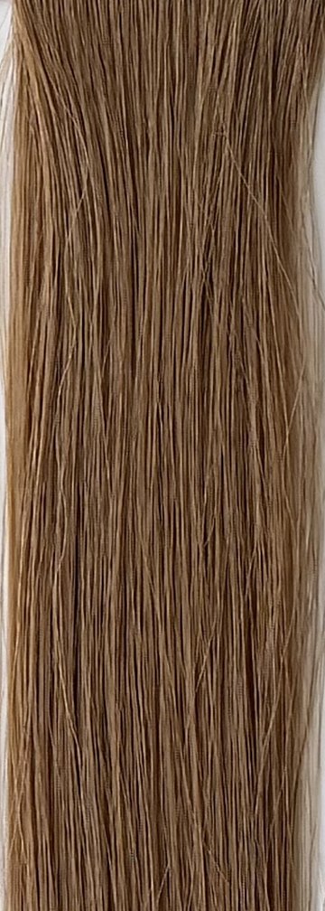Color 6 hair swatch