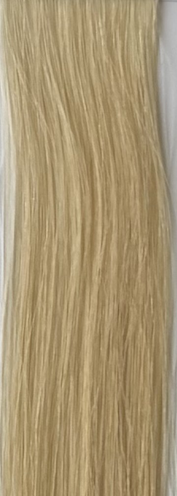 Color 613 hair swatch