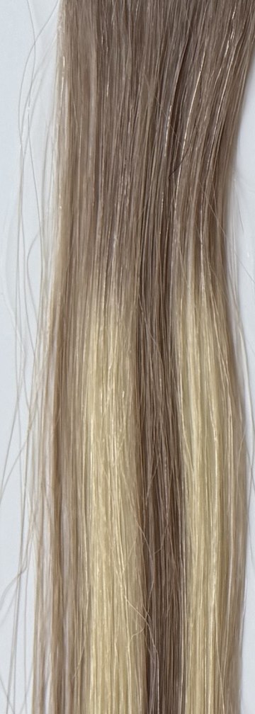 Color B17/Ice hair swatch
