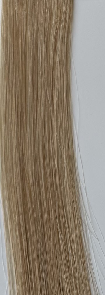 Color M6/60/1001 hair swatch